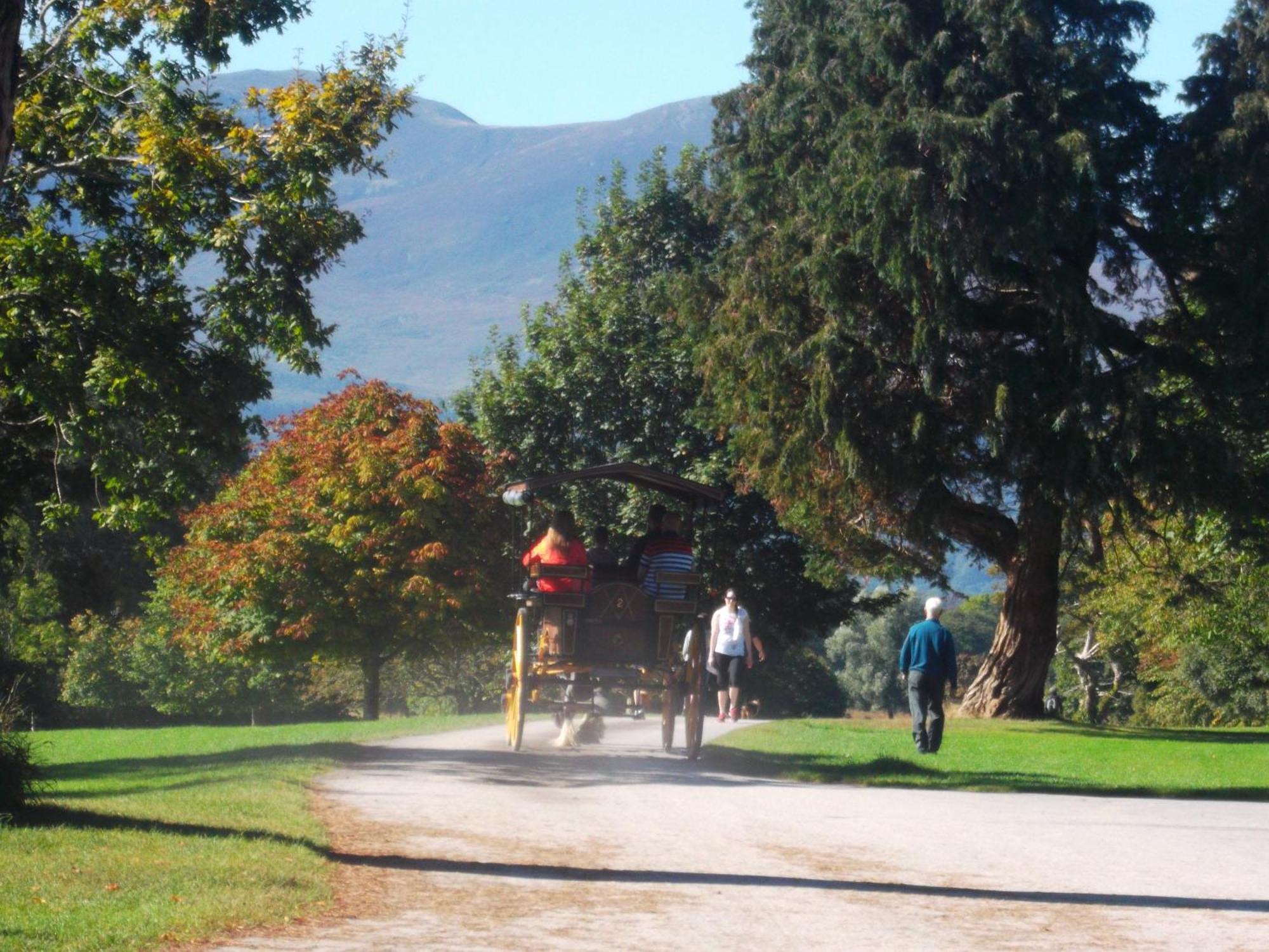 Kerry Holiday Homes At The Killarney Holiday Village 外观 照片