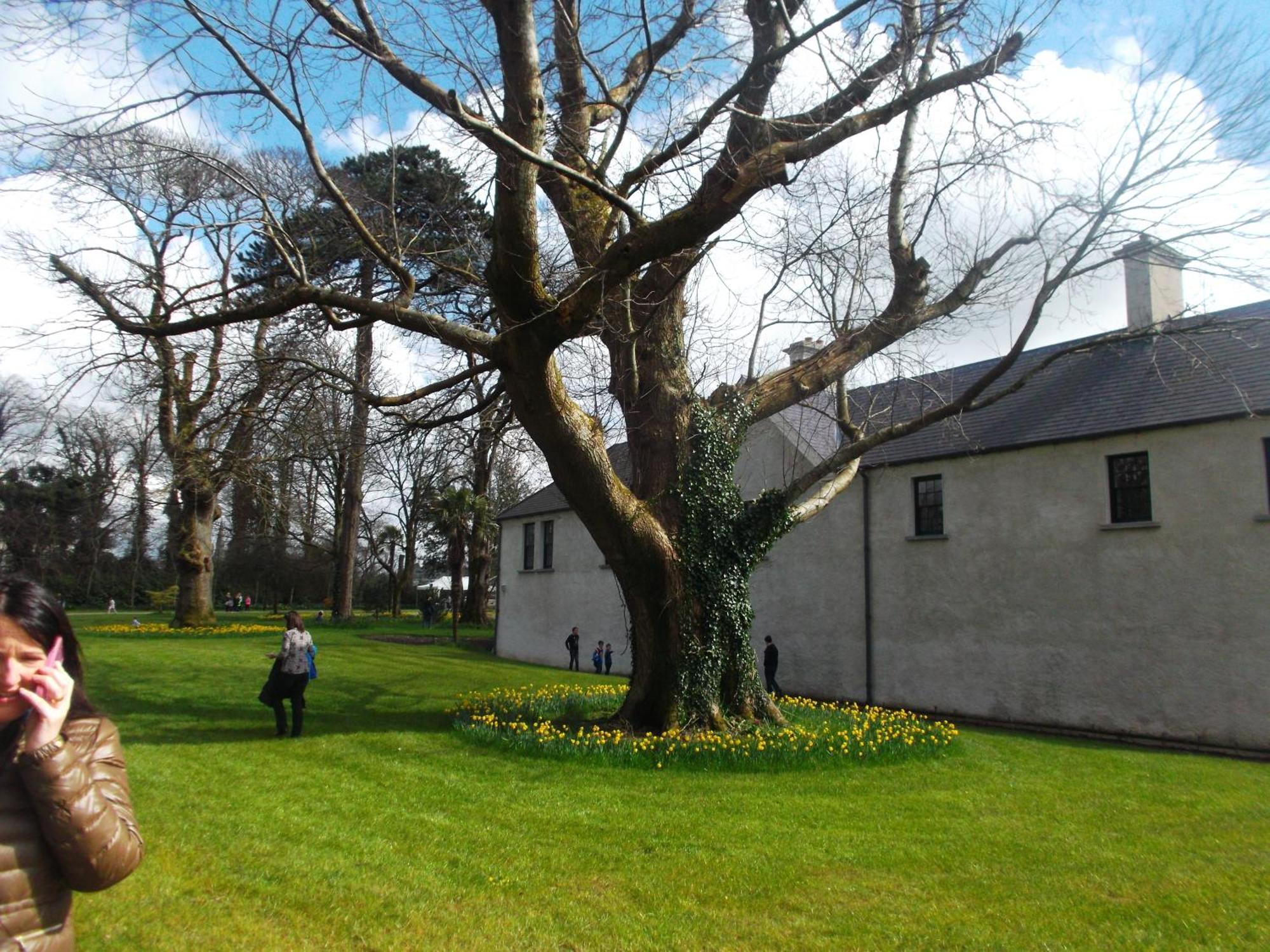 Kerry Holiday Homes At The Killarney Holiday Village 外观 照片